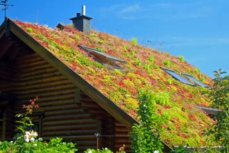 shutterstock_556420246-1024x683-1