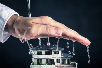 shutterstock_491045317-1024x683-1