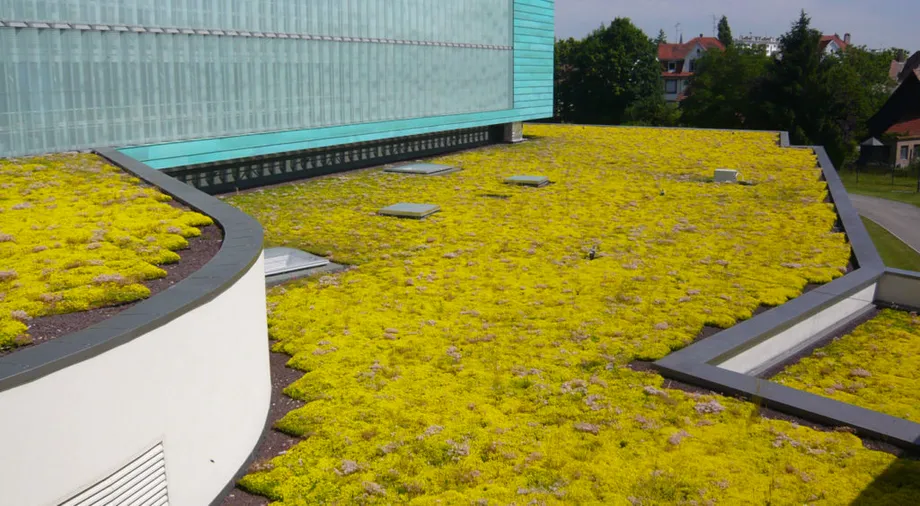 cobertura-ajardinada2-1024x563