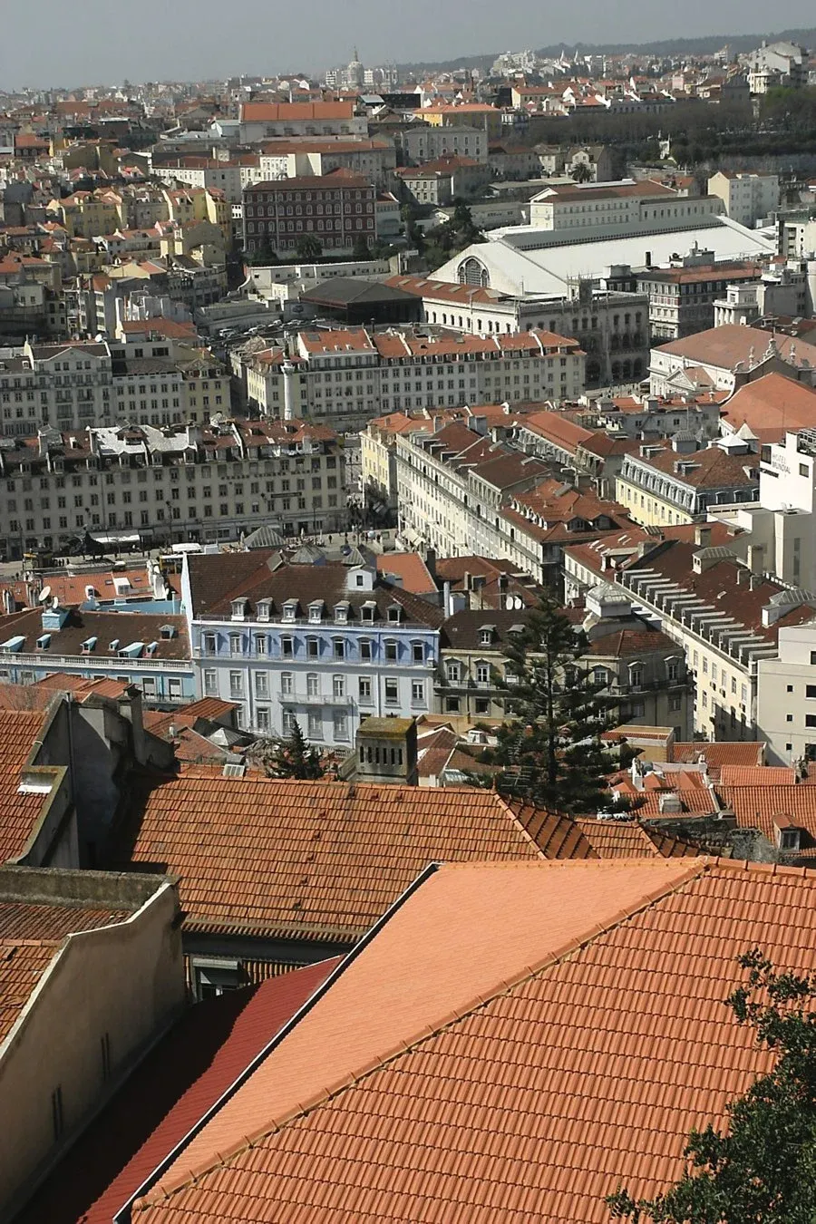 fotoSeparadorMarselha-m